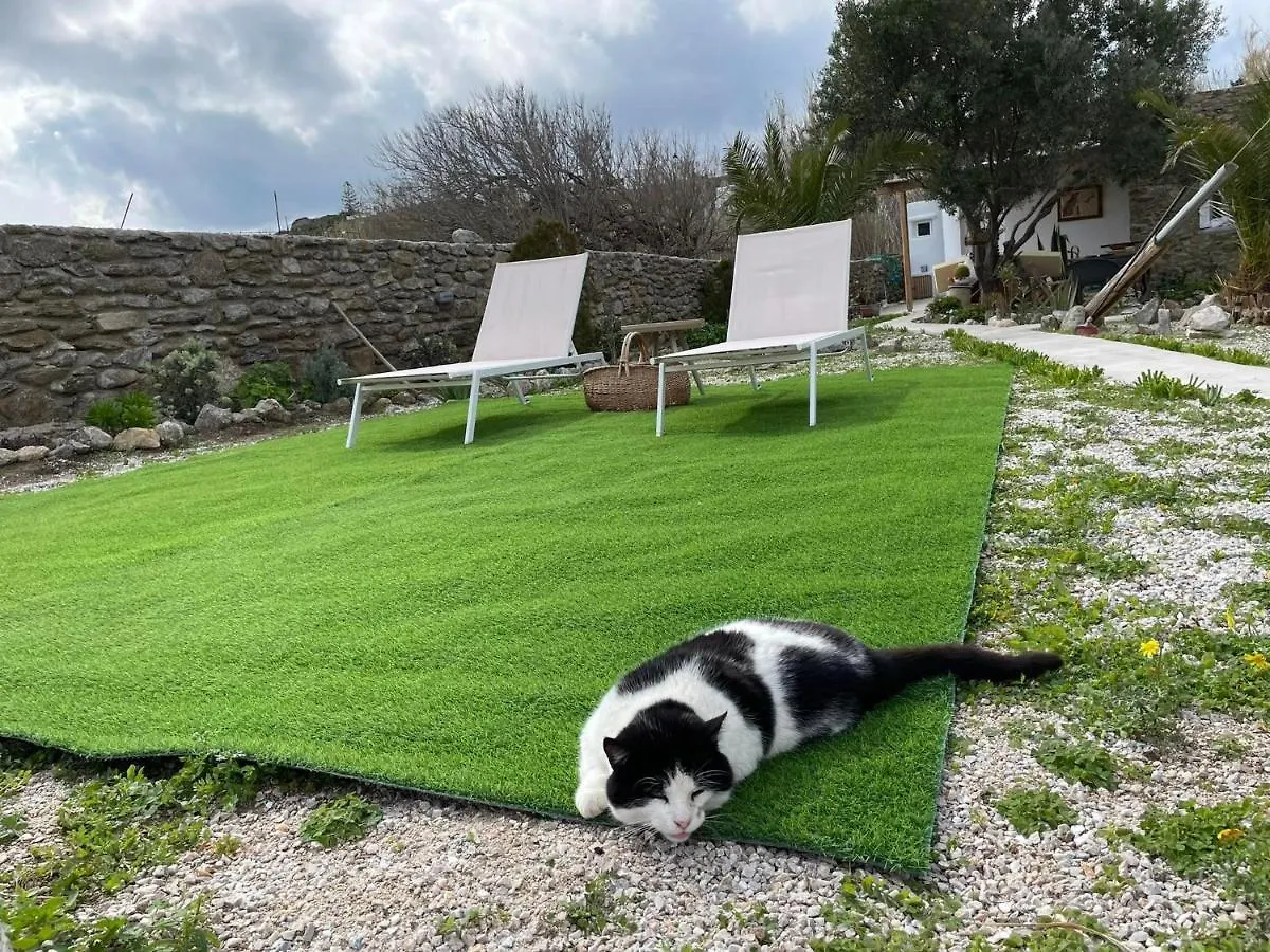Honey Bee House Διαμέρισμα Mykonos Town