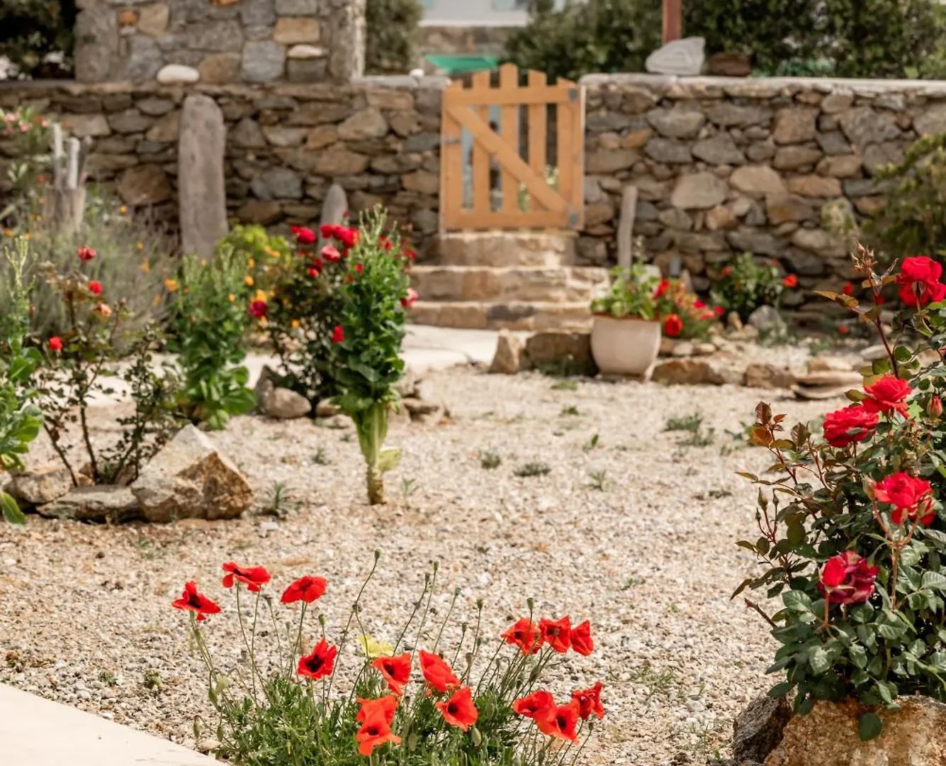 Honey Bee House Διαμέρισμα Mykonos Town Ελλάδα